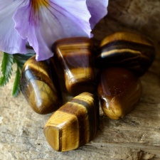 Tiigrisilm (30x22x17mm)
